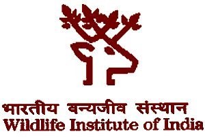 Project Associates & Assistant Recruitment in WII Dehradun