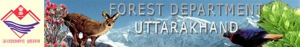 Web Developer, Database Administrator & Data Entry Operator Recruitment in Nainital Forest Department