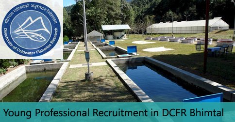 Young Professional Vacancy in DCFR Bhimtal