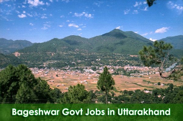 Sarkari Naukri in Bageshwar