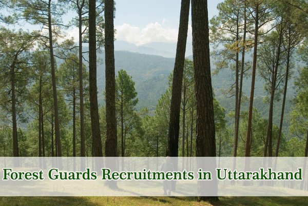Forest Guards Sarkari Naukri in Uttarakhand