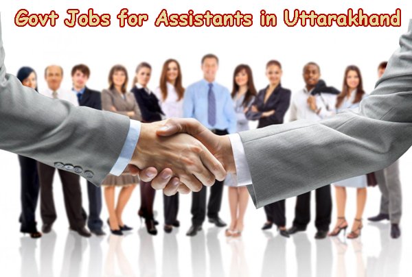 Sarkari Naukri for Assistants in Uttarakhand - Assistants Govt Jobs in Uttarakhand