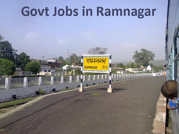 Sarkari Naukri in Ramnagar