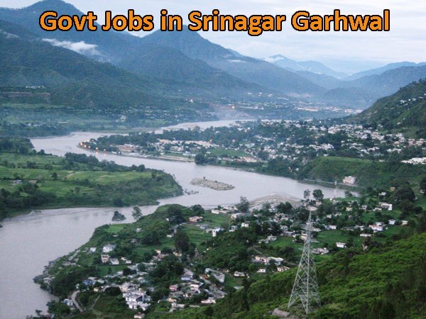 Sarkari Naukri in Srinagar Garhwal