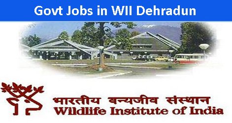 Sarkari Naukri in WII Dehradun