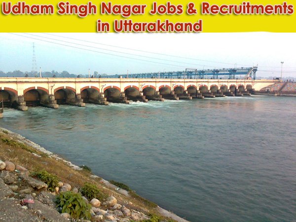 Udham Singh Nagar Sarkari Naukri in Uttarakhand