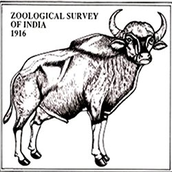 JRF & Field Assistant Recruitment in ZSI Dehradun