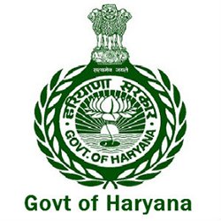 13536 Group D Recruitment in Haryana SSC (HSSC)