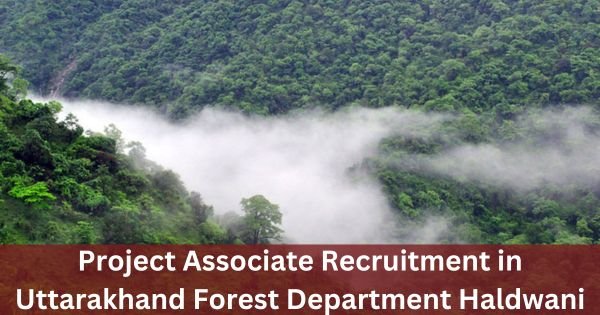 Project-Associate-Recruitment-in-Uttarakhand-Forest-Department-Haldwani